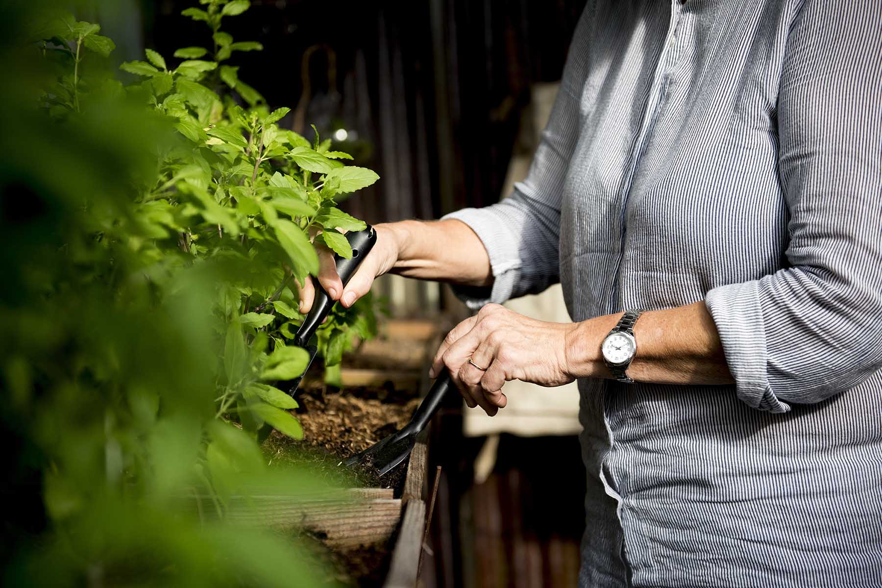 Gardening Video Thumbnail
