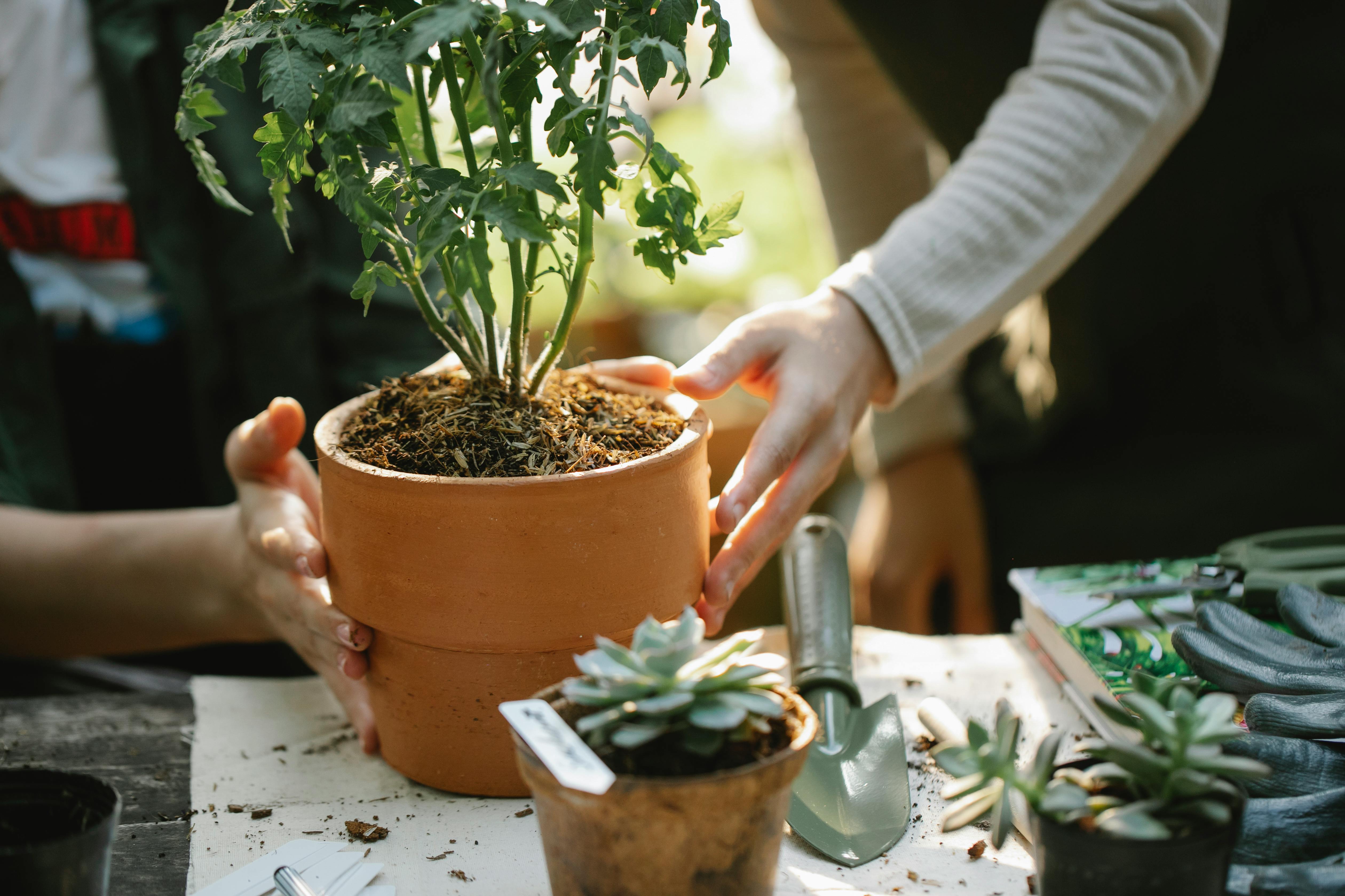 Gardening Video Thumbnail